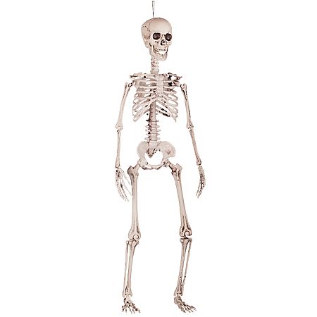 Squelette deco, 90 cm