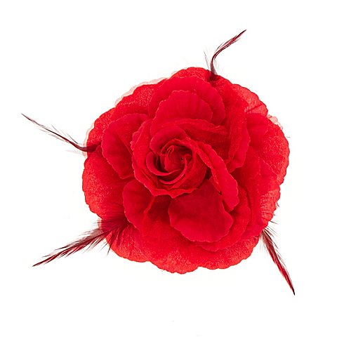 Image of Ansteck-Rose, rot