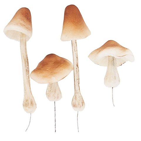 Image of Deko-Pilze am Draht, 6 cm und 13 cm, 4 Stück