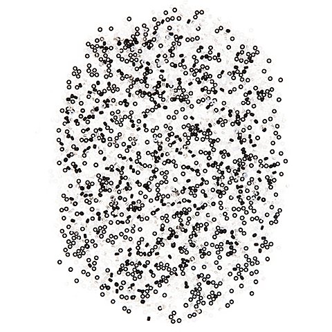 Image of Rocailles-Perlen "Edel" zum Weben, 2,5 mm Ø, 45 g