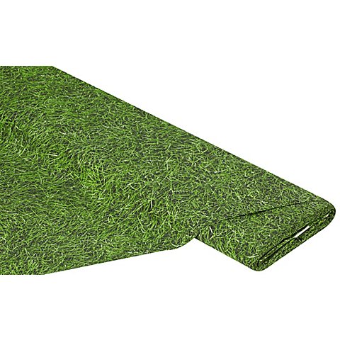 Image of Baumwollstoff-Digitaldruck "Gras", Serie Ria