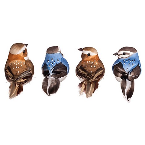 Image of Federvögel mit Klammer, braun/blau, 4 Stück