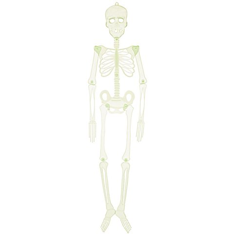 Image of Bewegliches Skelett, glow-in-the-dark, 92 cm